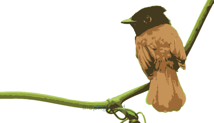 Cute Bird Vector HD PNG bird,animal,vector,png,fly,forest,nature,cute,beautiful,colors,transparent